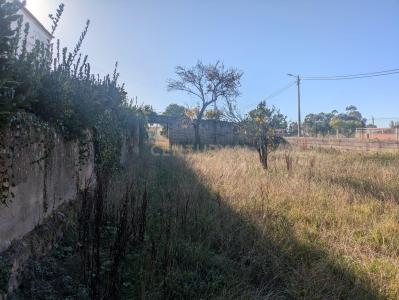 Oliveira Do Bairro, Aveiro 3771-909, Portugal