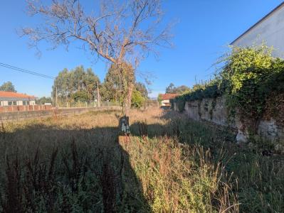 Oliveira Do Bairro, Aveiro 3771-909, Portugal