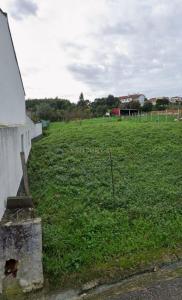 Anadia, Aveiro 3780-459, Portugal