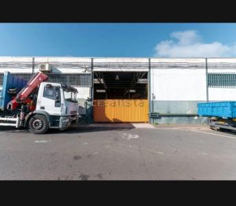 산타크루스데테네리페, Canarias 38206, 스페인