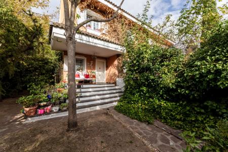 Madrid, Comunidad De Madrid 28863, Spain