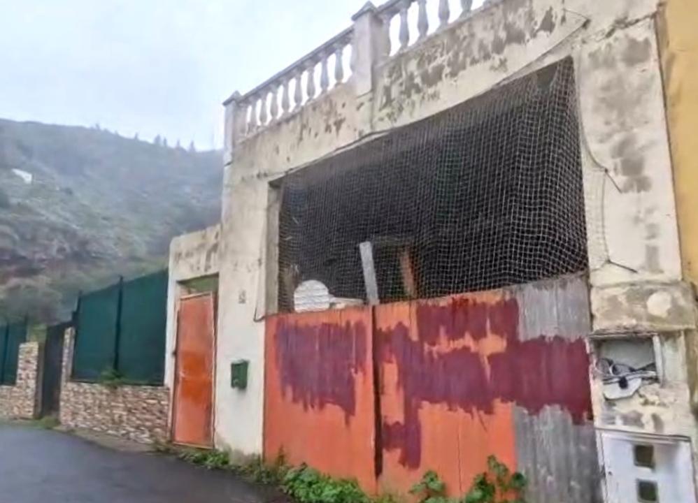 Las Palmas, Canarias 35338, España