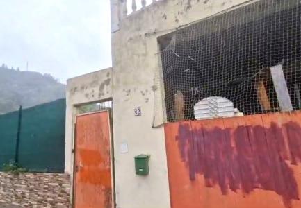 Las Palmas, Canarias 35338, España