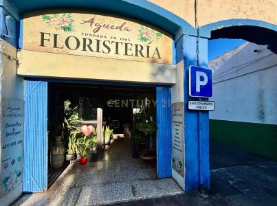 Santa Cruz De Tenerife, Canarias 38500, Spain