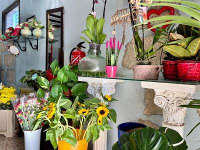 Santa Cruz De Tenerife, Canarias 38500, Tây Ban Nha