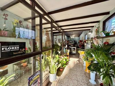 Santa Cruz De Tenerife, Canarias 38500, Tây Ban Nha