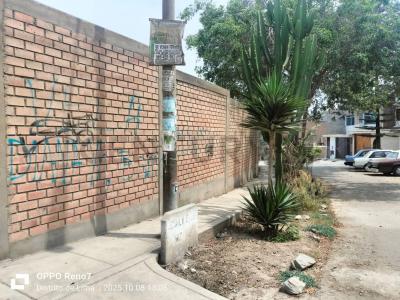 San Antonio de Carapongo etapa 4, Lima, Lima 00001, Peru