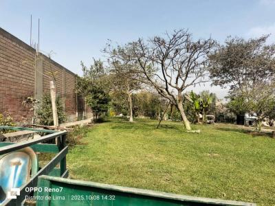 San Antonio de Carapongo etapa 4, Lima, Lima 00001, Peru