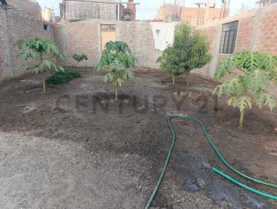 Centro Poblado Casa Blanca , Ica, Ica 00001, بيرو