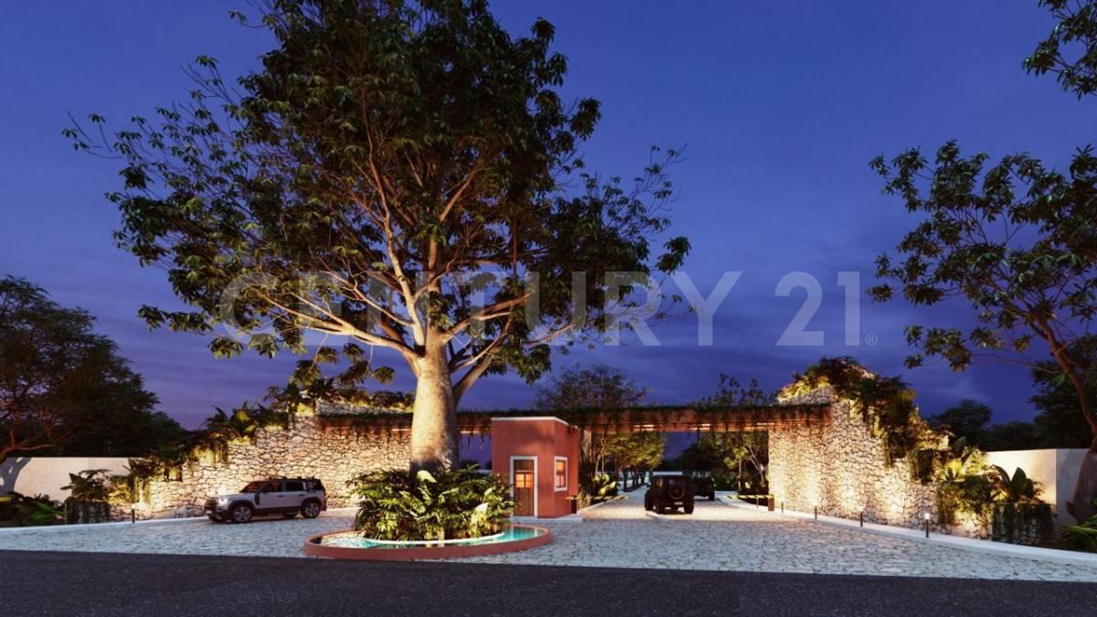 HACIENDA KAPOK  TABLAJE 256,, Progreso, Yucatan 97320, Mexico