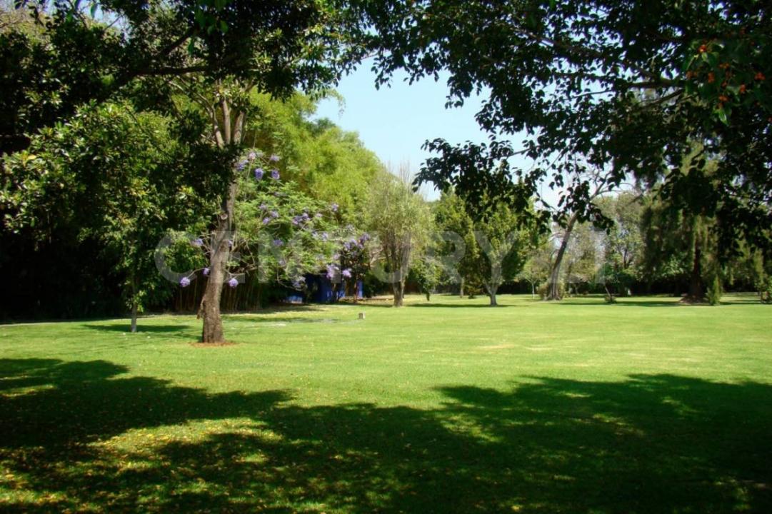 Callejón del suspiro 3,, Jiutepec, Morelos 62564, Mexico