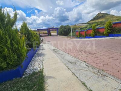 Av. las torres 5303,, Atlixco, Пуэбла 74290, Мексика