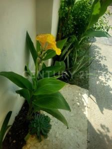 Juarez ,, Tlaquepaque, Jalisco 45600, México