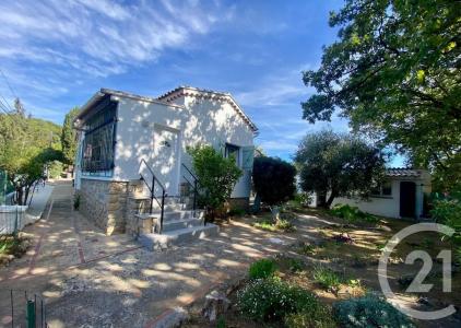 Ollioules, Provence-Alpes-Côte D'Azur 83190, فرنسا