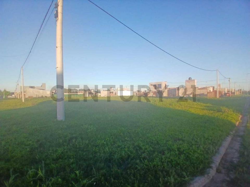 El Avellano 2350, Alvear, Santa Fe 2130, ארגנטינה