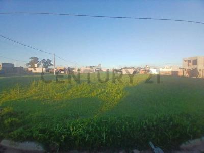 El Avellano 2350, Alvear, Santa Fe 2130, ארגנטינה