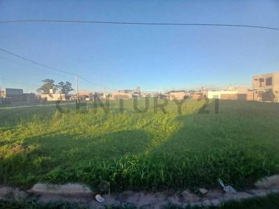 El Avellano 2350, Alvear, Santa Fe 2130, ארגנטינה