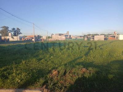 El Avellano 2350, Alvear, Santa Fe 2130, ארגנטינה