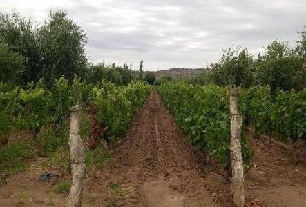 Franklin Villanueva , Guaymallén, 門多薩 00001, 阿根廷