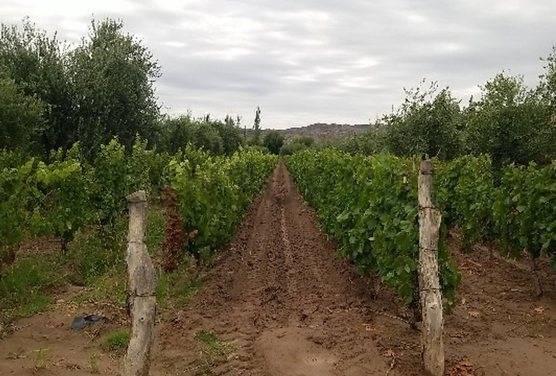 Franklin Villanueva , Guaymallén, 門多薩 00001, 阿根廷