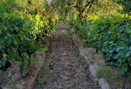 Franklin Villanueva , Guaymallén, 門多薩 00001, 阿根廷