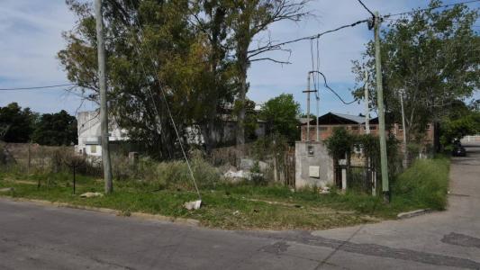 511 entre 14 y 15 , La Plata, GBA Sur 00001, Argentina