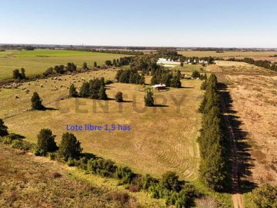 Exaltación De La Cruz, GBA Norte B2812, Argentina