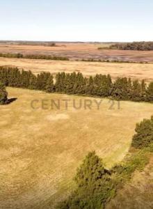 Exaltación De La Cruz, GBA Norte B2812, Argentina