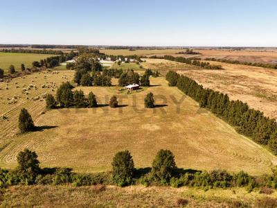 Exaltación De La Cruz, GBA Norte B2812, Argentina