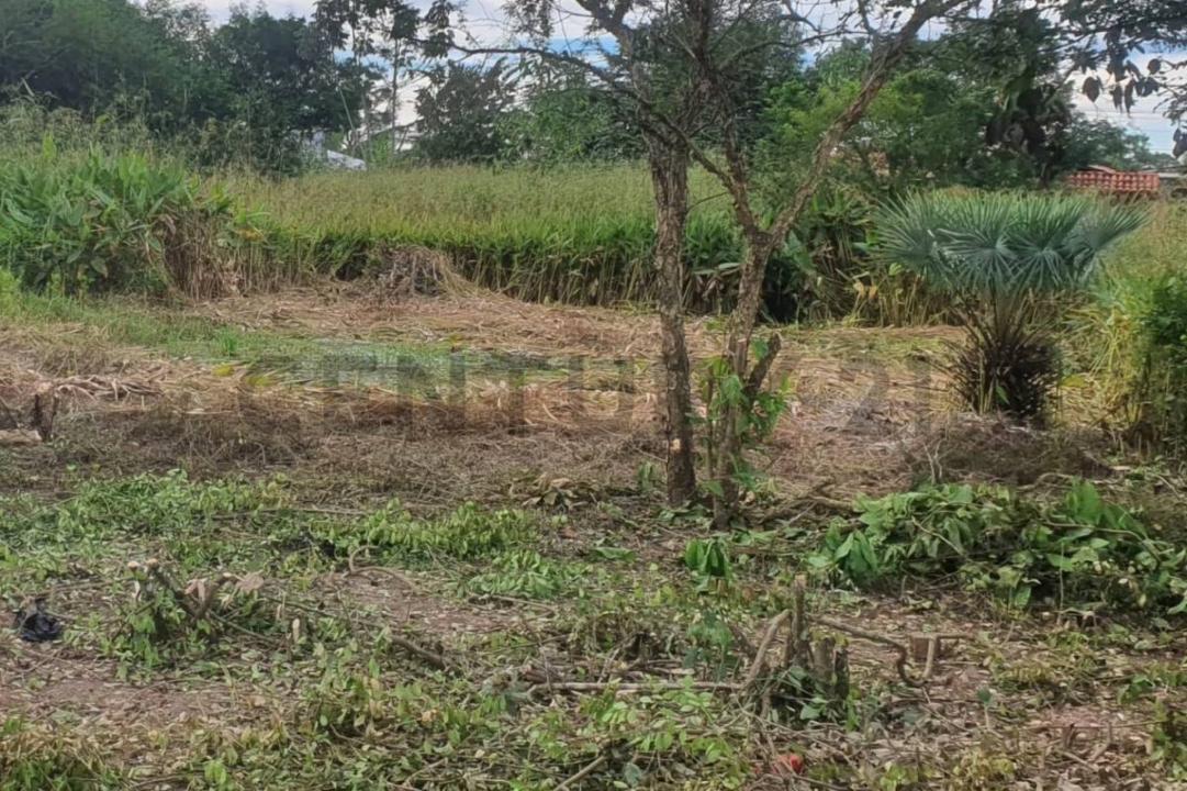 Urb. Maná, Beni 00001, Bolivia