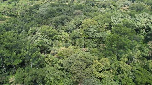 Marbán, Beni 00001, Bolívia