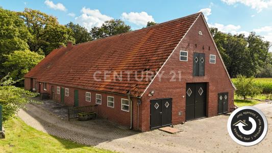 Gildehaus, Niedersachsen 48455, Allemagne