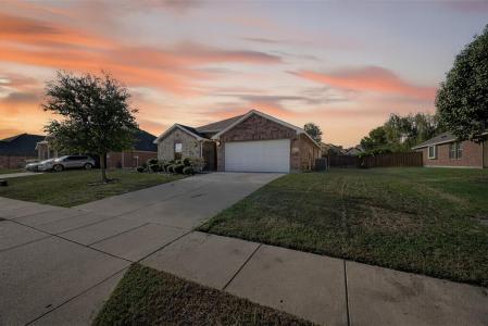 3111 Flowering Springs, Forney, Texas 75126, Stati Uniti