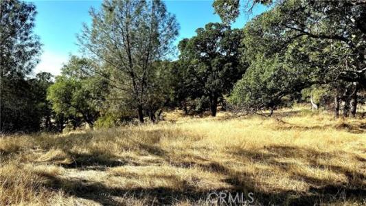 Rich Gulch Road, Oroville, California 95965