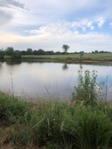 Lot 4 Hummingbird, Stillwater, Oklahoma 74074, USA