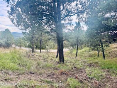 106 Deodar Drive, Ruidoso, New Messico 88345, Stati Uniti