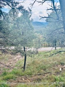 106 Deodar Drive, Ruidoso, New Messico 88345, Stati Uniti