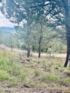 106 Deodar Drive, Ruidoso, New Messico 88345, Stati Uniti