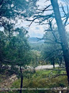 106 Deodar Drive, Ruidoso, New Messico 88345, Stati Uniti