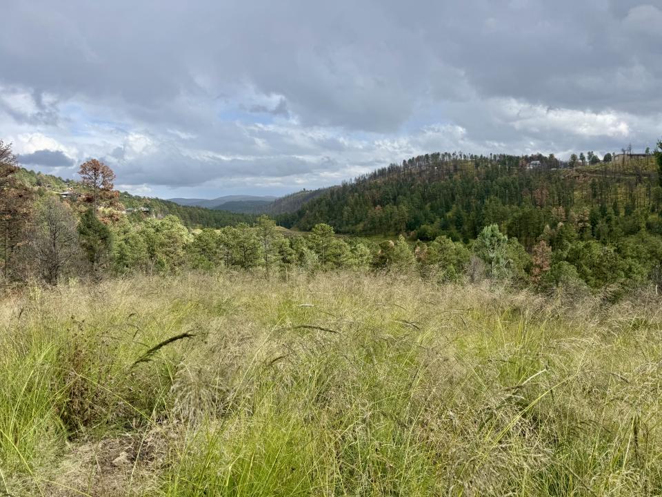 206 Sunset Drive, Alto, المكسيك جديدة 88312, الولايات المتحدة