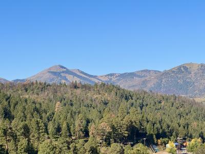 206 Sunset Drive, Alto, المكسيك جديدة 88312, الولايات المتحدة