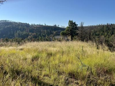 206 Sunset Drive, Alto, المكسيك جديدة 88312, الولايات المتحدة