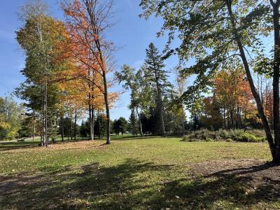 Mercer Lake Circle South Lot 2, Mercer, Wisconsin 54547, Estados Unidos