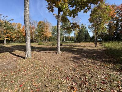 Mercer Lake Circle South Lot 2, Mercer, Wisconsin 54547, Estados Unidos