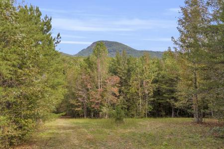 438 Turner Rd., Cleveland, Georgia 30528