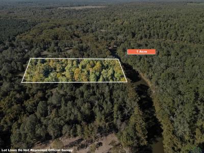 2500 PR 7200 Lot #2, Jefferson, テキサス 75657, アメリカ合衆国