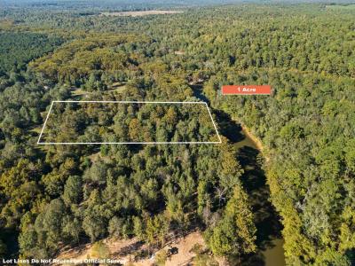 2500 PR 7200 Lot #2, Jefferson, テキサス 75657, アメリカ合衆国