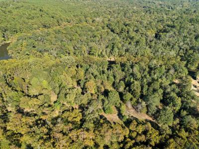 2500 PR 7200 Lot #2, Jefferson, テキサス 75657, アメリカ合衆国