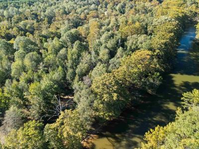 2500 PR 7200 Lot #2, Jefferson, テキサス 75657, アメリカ合衆国