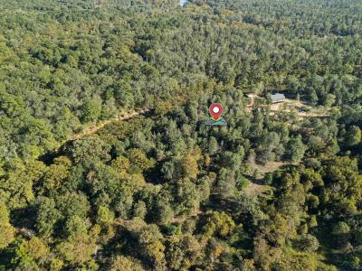 2500 PR 7200 Lot #1, Jefferson, Texas 75657